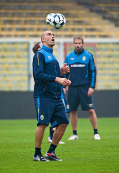 Daniel Majstorovic