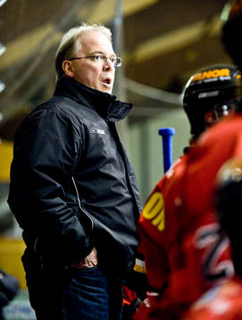 Stephen Higgins, tränare