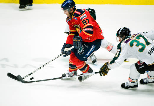 Michael Zigomanis, Djurgården och Lee Goren, Färjestad