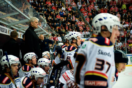 Bläddra bland fler bilder av Ishockey, Elitserien, Timrå - Djurgården
