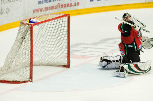 Niklas Svedbberg, Modo (målvakt)