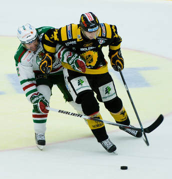 Peter Högardh, Rögle och David Rundblad, Skellefteå