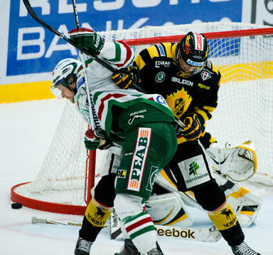 Jakob Johansson, Rögle och David Rundblad, Skellefteå