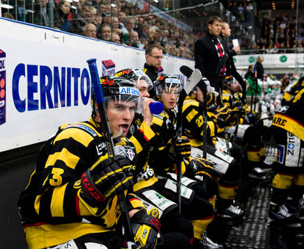Tomas Surovy, bås