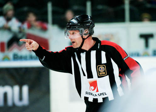 Ulf Rönnmark, domare