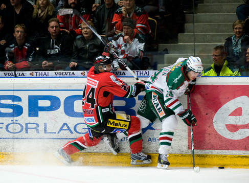 Niklas Sundström, Modo och Jeremy Colliton, Rögle