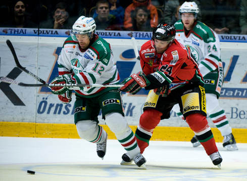Peter Högardh, Rögle och Niklas Sundström, Rögle