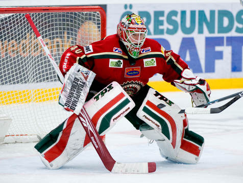 Johan Holmqvist, målvakt