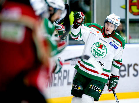 Mattias Sjögren, Rögle jubel