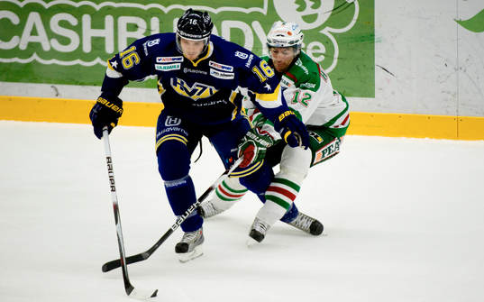 Peter Högard, Rögle