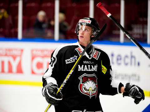 Victor Svensson, Malmö, depp