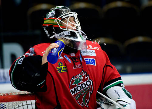 Niklas Svedberg, Målvakt