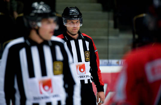 Domare Ulf Rönnmark