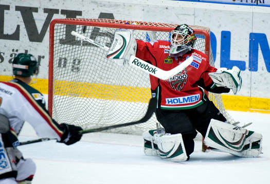 Niklas Svedberg, Målvakt Modo
