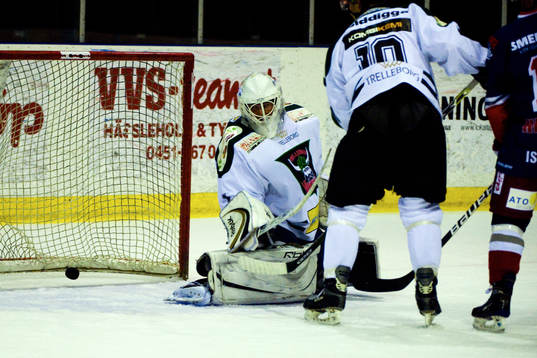 Max Lindgren, målvakt, Trelleborg
