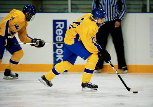 Elias Lindholm, Sverige