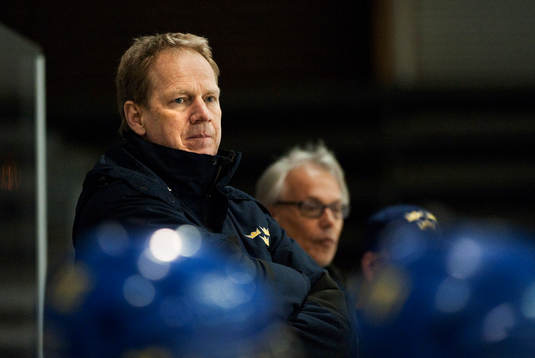 Stefan Bergkvist, tränare, Sverige