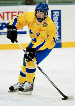 Christian Djoos, Sverige