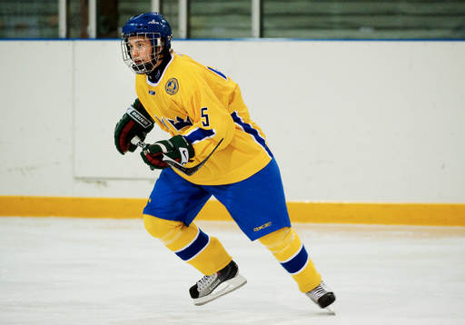 Anton Santesson, Sverige