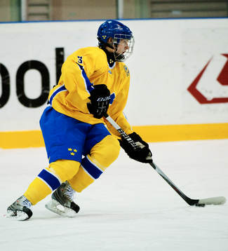 Christian Djoos, Sverige