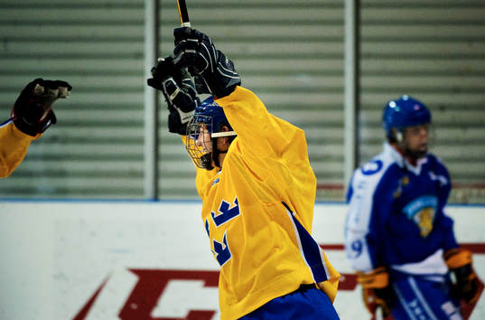 Filip Forsberg, Sverige, jubel