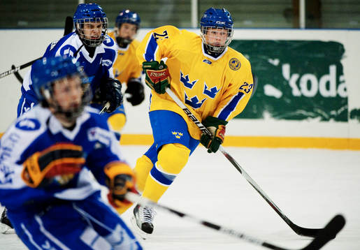 Erik Karlsson, Sverige