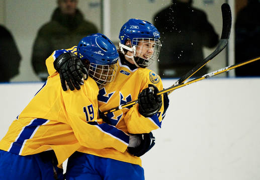 Edwin Hedberg och Elias Lindholm, Sverige, jubel