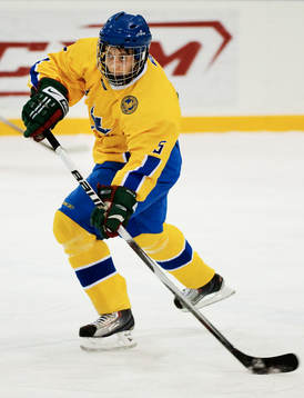 Anton Santesson, Sverige