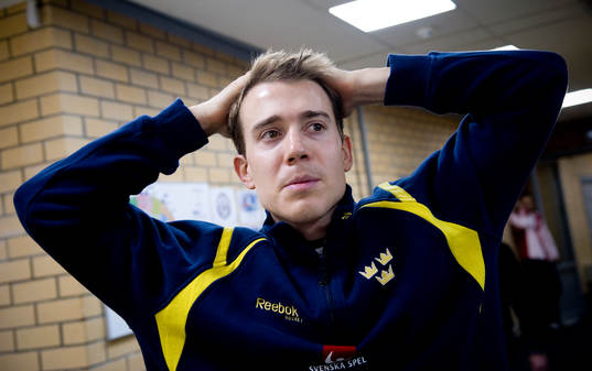 Mattias Weinhandl, Sverige
