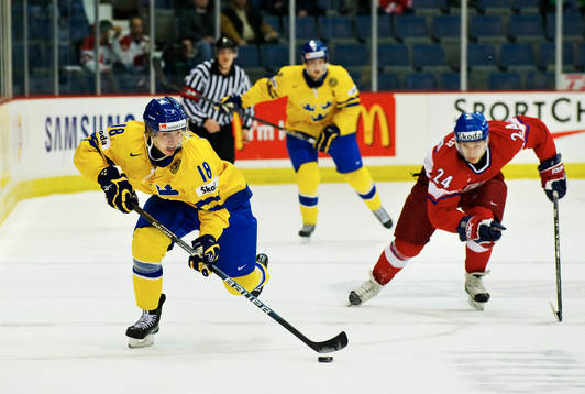 Anton Rödin, Sverige