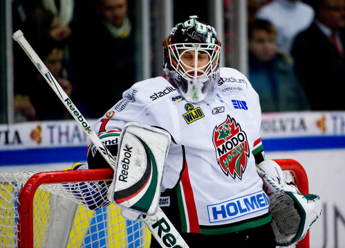 Niklas Svedberg, Målvakt, depp