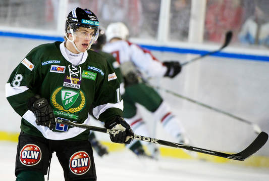 Robin Sterner, Färjestad