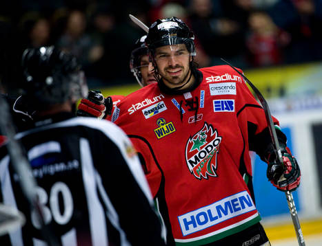 Hannu Pikkarainen, Modo, jubel