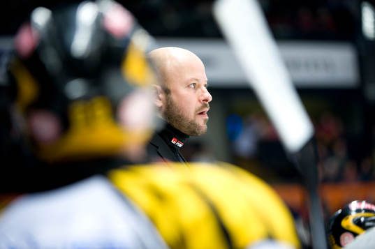 Tommy Jonsson, Tränare, Brynäs