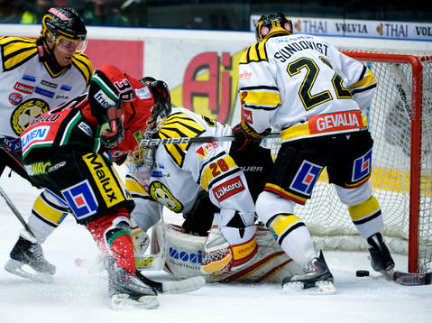 Jörgen Sundqvist, Brynäs