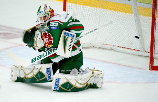 Bläddra bland fler bilder av Ishockey, Elitserien, Rögle - Djurgården
