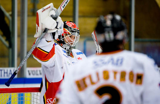 Mattias Modig, Målvakt Luleå jublar