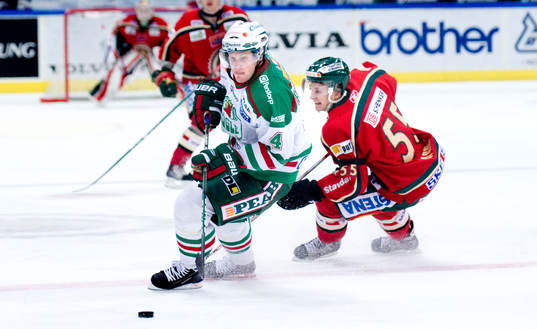Stefan Erkgärds, Rögle