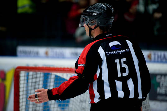 Patrik Sjöberg, Domare