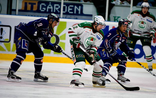 Peter Högardh, Rögle, Tony Mårtensson och Magnus