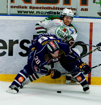 Nicklas Hävelid, Linköping och Peter Högardh, Rögle
