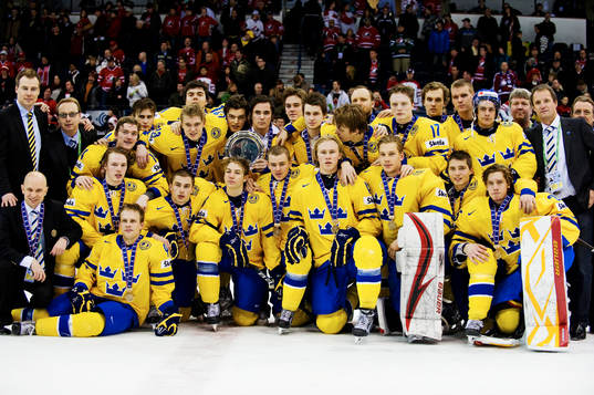 Det svenska laget tog brons. Lagbild