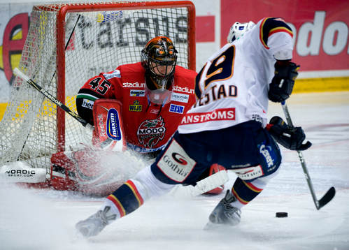 Jimmie Ölvestad, Djurgården och Roman Malek, Målvakt Modo