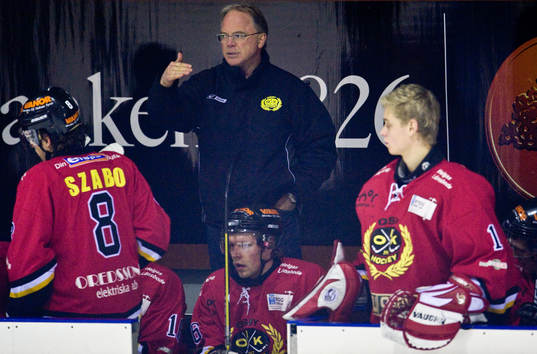Stephen Higgins, tränare
