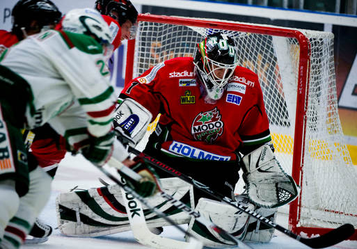Niklas Svedberg, målvakt, Modo