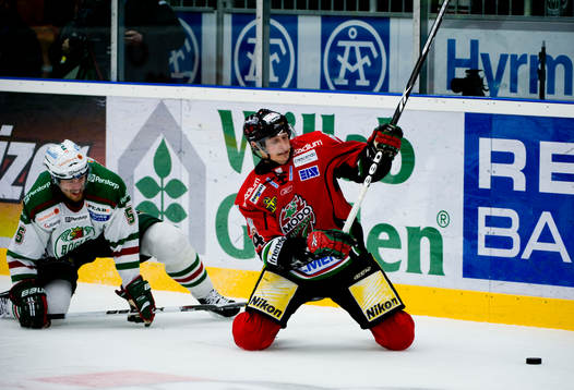 Richard Demén-Willaume, Rögle och Tomas Mojzis, Modo