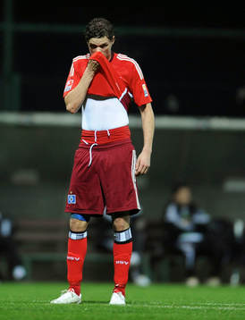 Marcus Berg, Hamburg