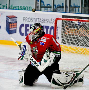 Niklas Svedberg, målvakt, Modo
