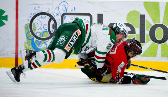 Jeremy Colliton, Rögle och Tomas Mojzis, Modo