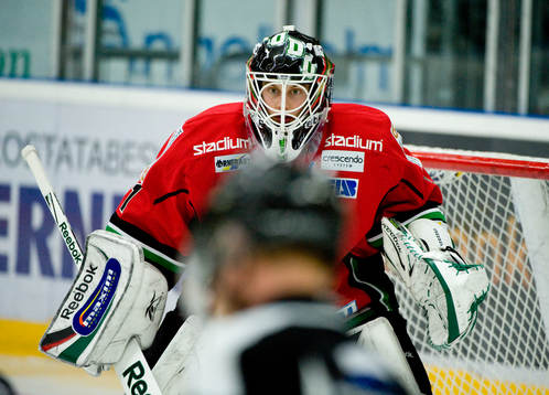 Niklas Svedberg, målvakt
